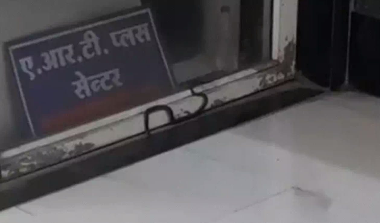 खिड़की के पास बैठा रहा सांप