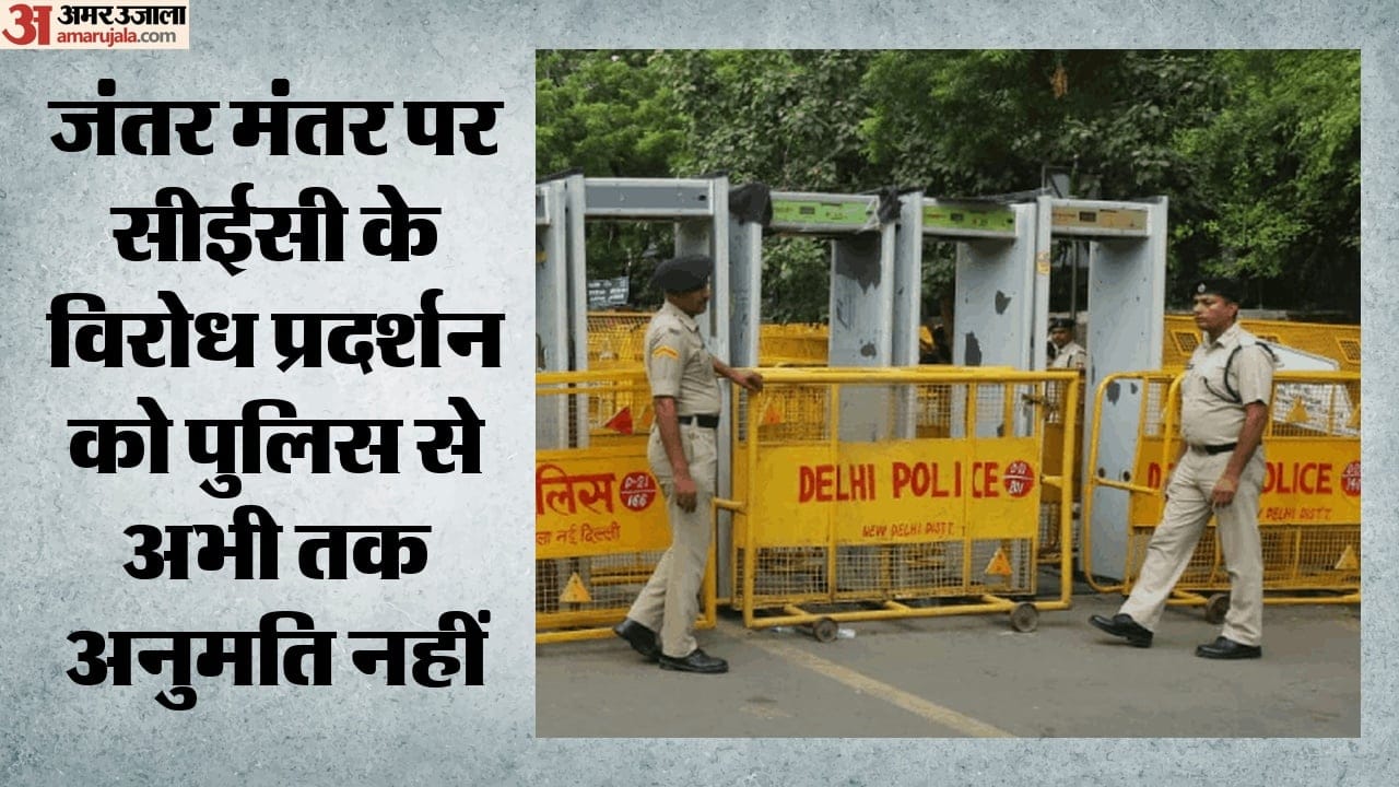 दिल्ली पुलिस