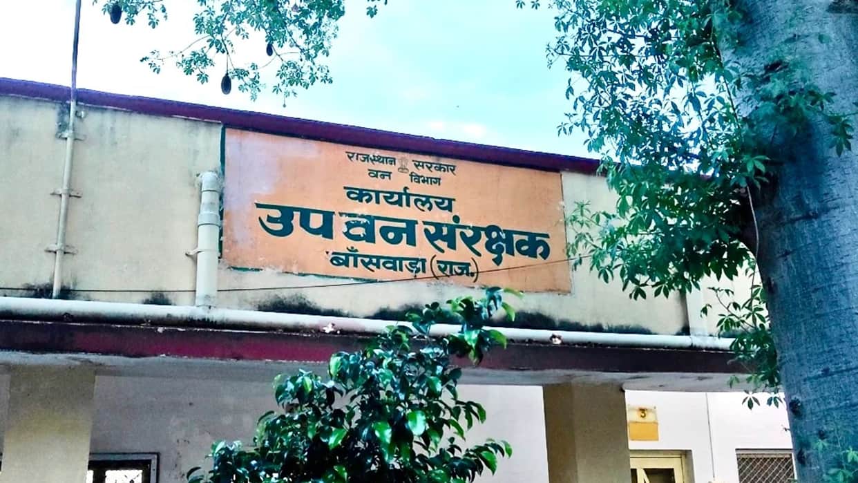 Leopard Attack in Banswara Child Mauled to Death Outside Home Claw Marks Found on Neck