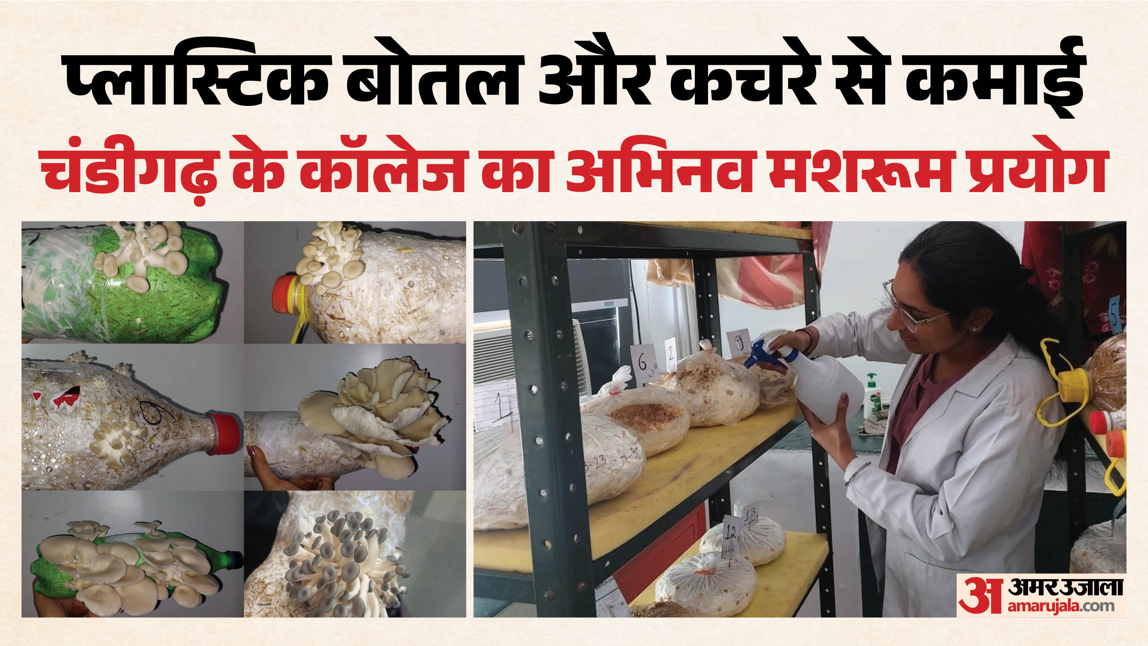 चंडीगढ़ एमसीएम डीएवी कॉलेज फॉर वुमन का प्रयोग