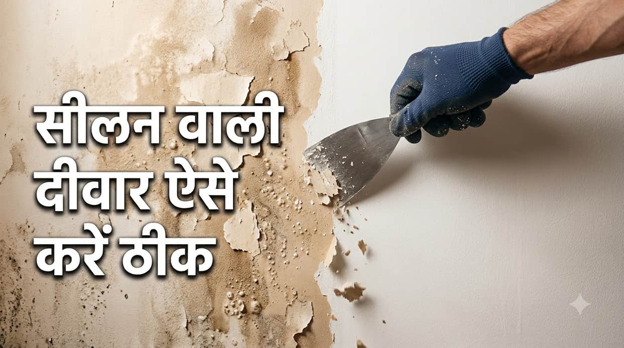Home Makeover: Fix Damp Walls Before Diwali Without Calling a Labourer Try These Easy DIY Steps