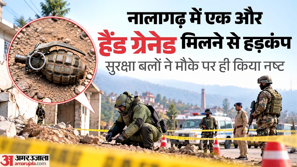 Himachal: Second hand grenade found in a field; couple arrested, SIT formed for investigation
