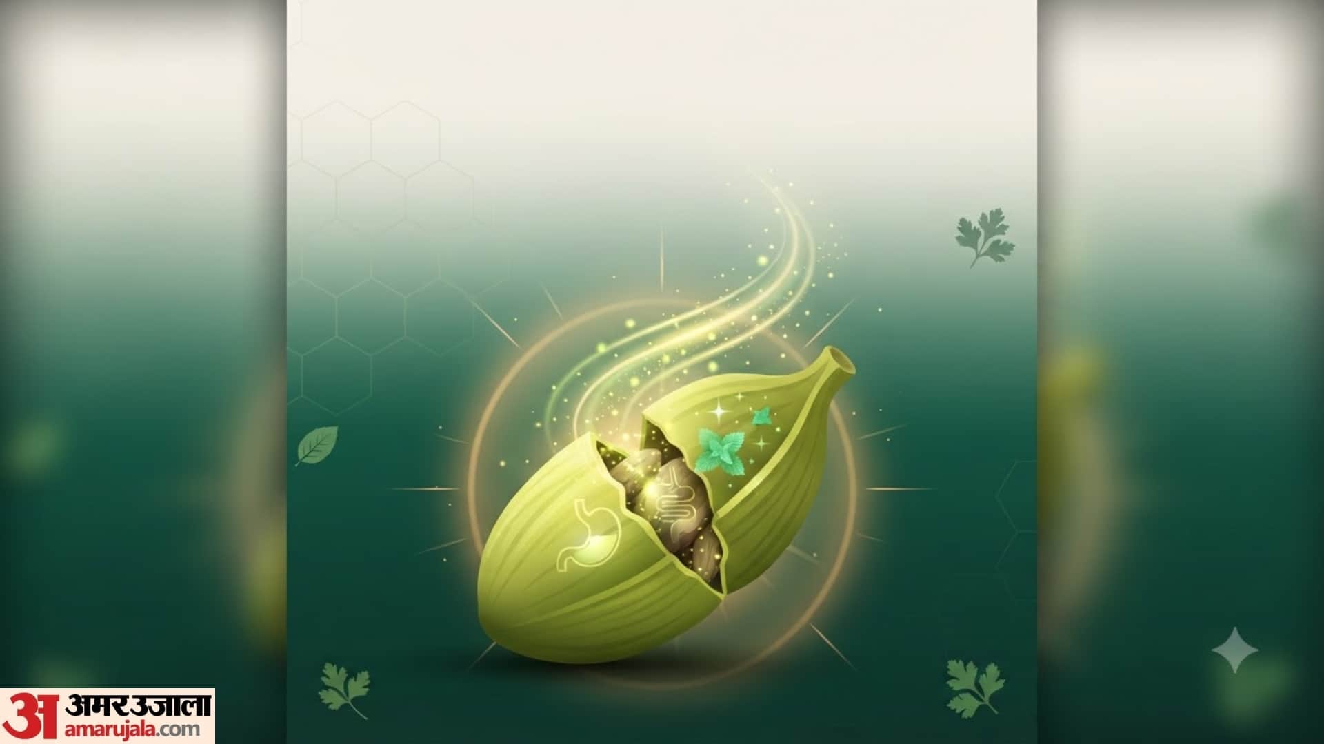 Health Benefits of Cardamom in hindi benefits of eating elaichi in morning empty stomach