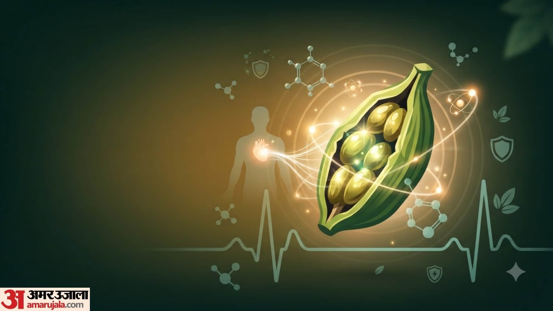 Health Benefits of Cardamom in hindi benefits of eating elaichi in morning empty stomach