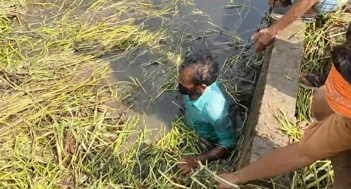 औरैया: अन्हैया नदी का जलस्तर बढ़ा़, 100 बीघा धान की फसल जलमग्न, किसानों ने श्रमदान कर नाले की सफाई की