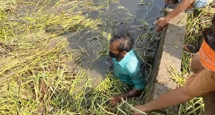 Auraiya Water level of Anhaiya River rise submerging 100 bighas of crops farmers cleaned drain voluntary labor