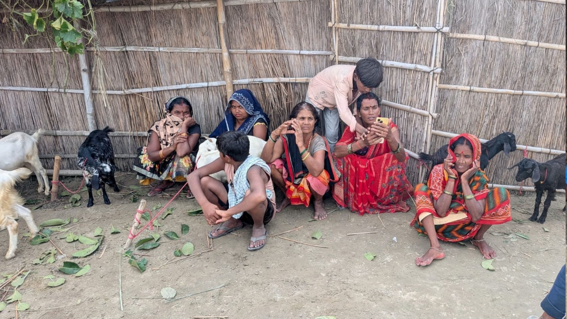 Kushinagar Flood AP Embankment Breaks 20 Villages Flooded After Water From Nepal
