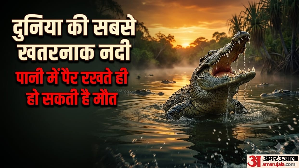 mary river australia most dangerous crocodile infested river