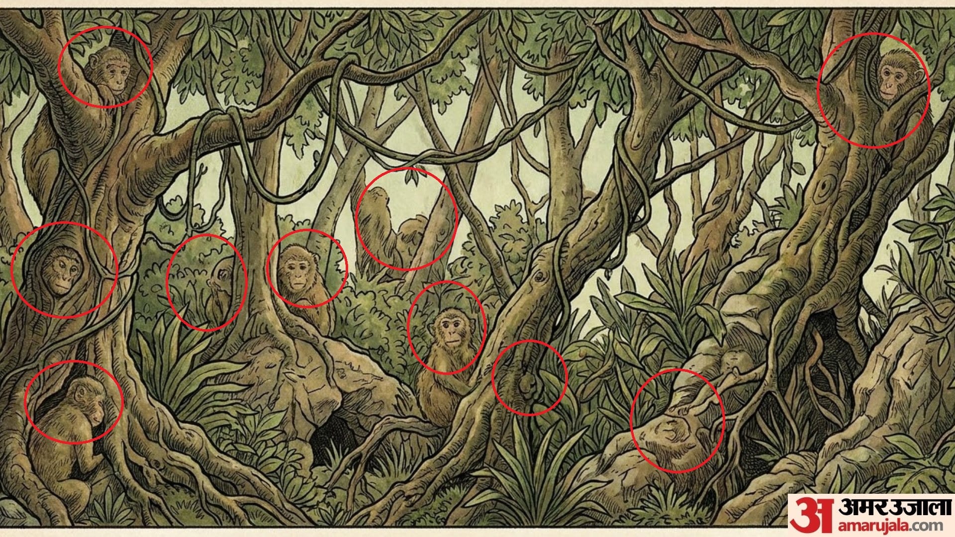 optical illusion iq test 10 monkey is hidden in Forest can you find in 30 Seconds