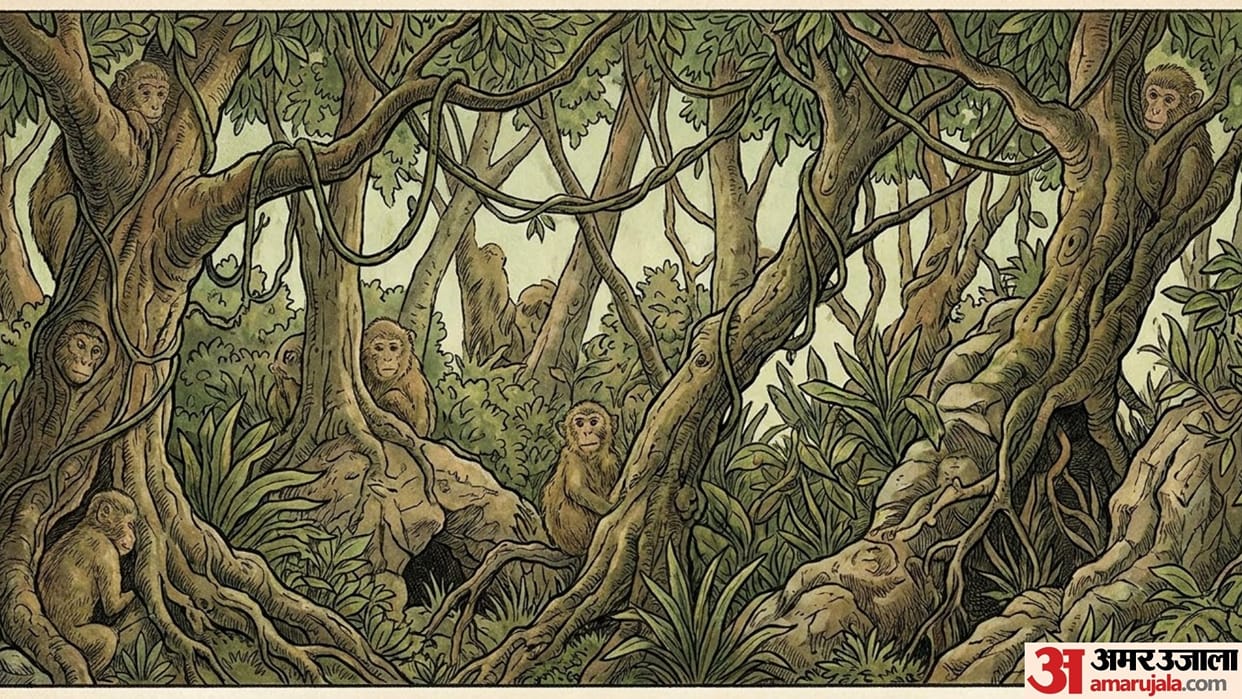 optical illusion iq test 10 monkey is hidden in Forest can you find in 30 Seconds