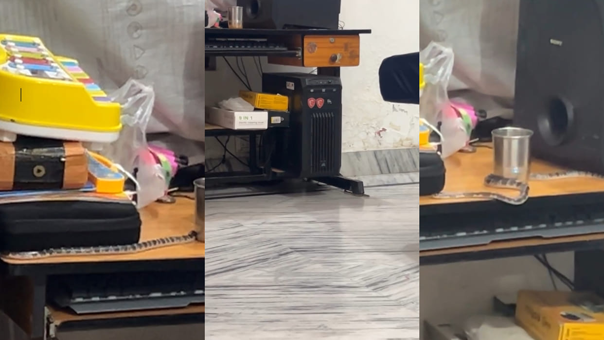 Krait Snake spotted slithering on the computer table at home video goes viral on internet