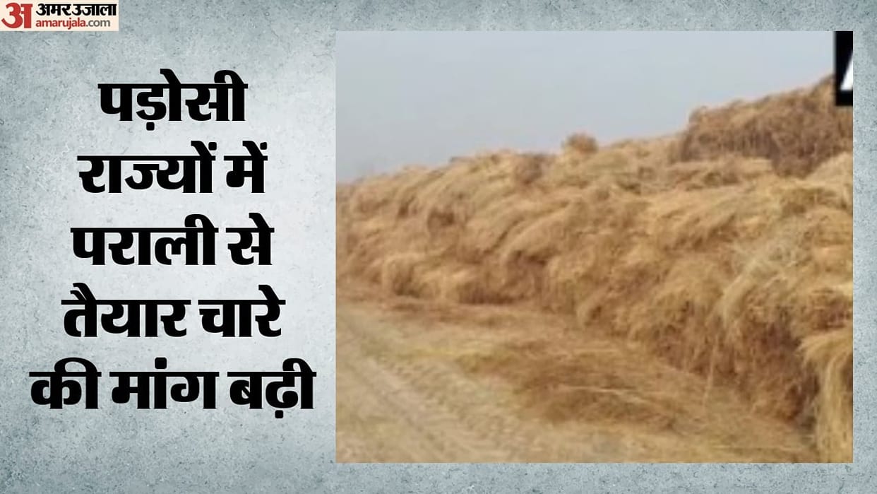 Not Stubble, but Earnings: A ₹200-Crore Business Built on Crop Residue in Haryana