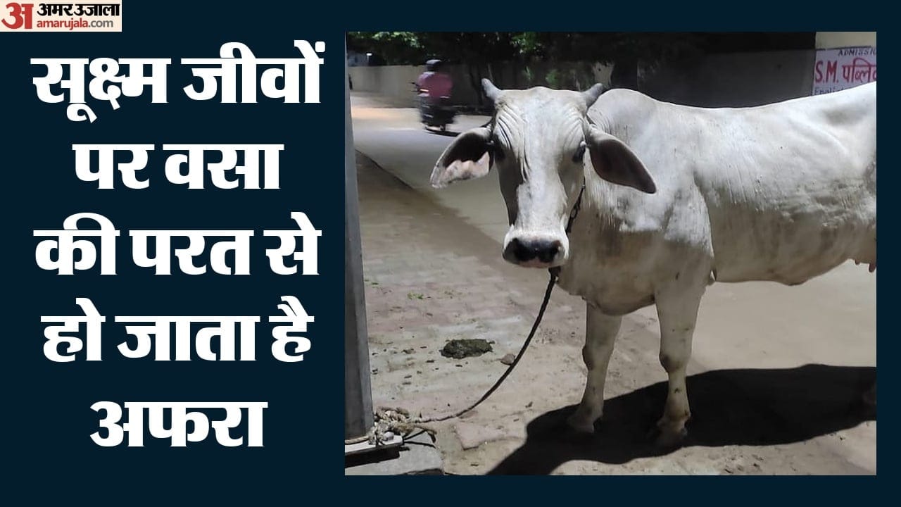 प्रतीक चित्र