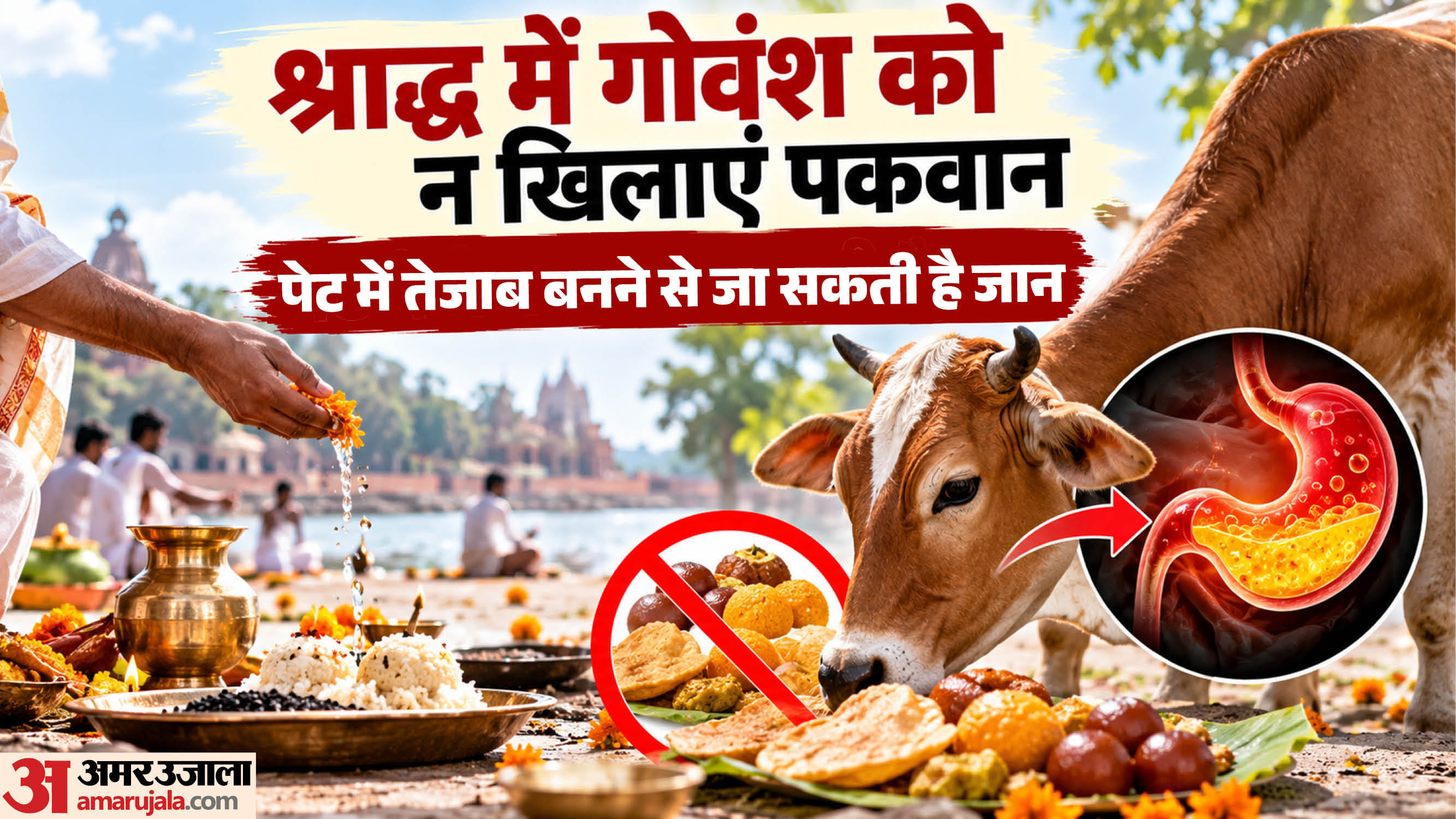 गोवंश को अधिक पकवान न खिलाएं