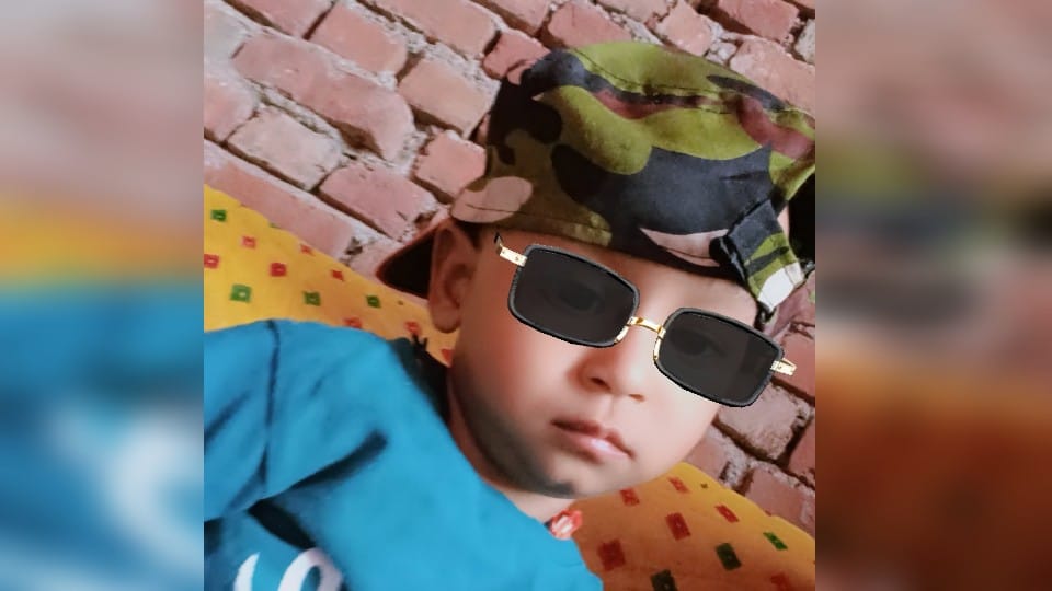 Mother and son bitten by snake in Firozabad child dies