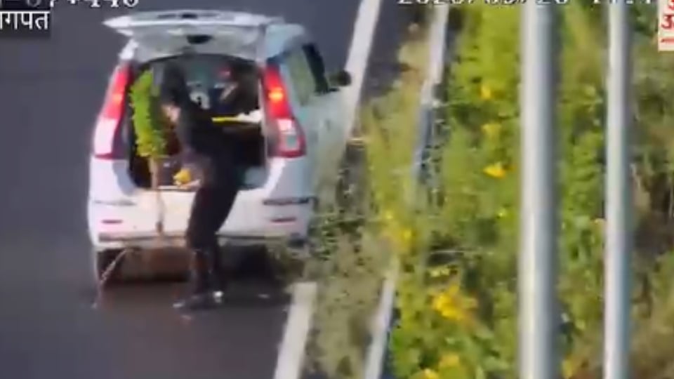बागपत: एक्सप्रेसवे की सबसे तेज लेन में कार रोककर पौधा चोरी किया, एआई कैमरे ने पकड़ा; पौधा लौटाने पर छोड़ा