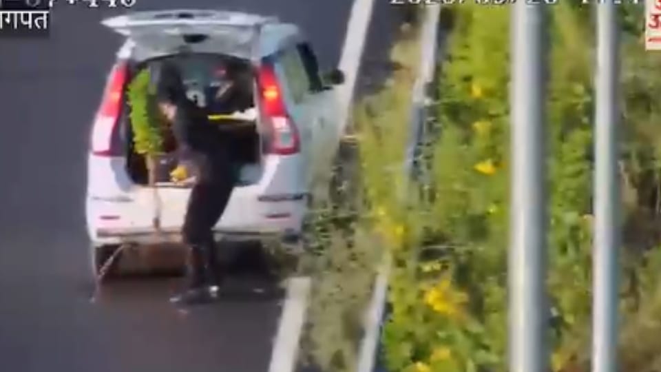 पौधा चुराता शख्स
