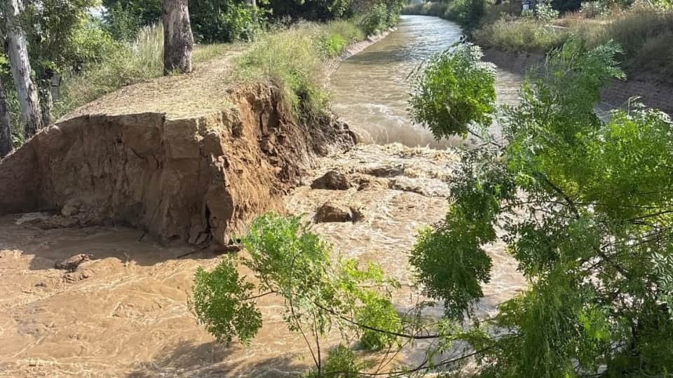 Canal breaches in Sunam; hundreds of acres of paddy crop submerged.