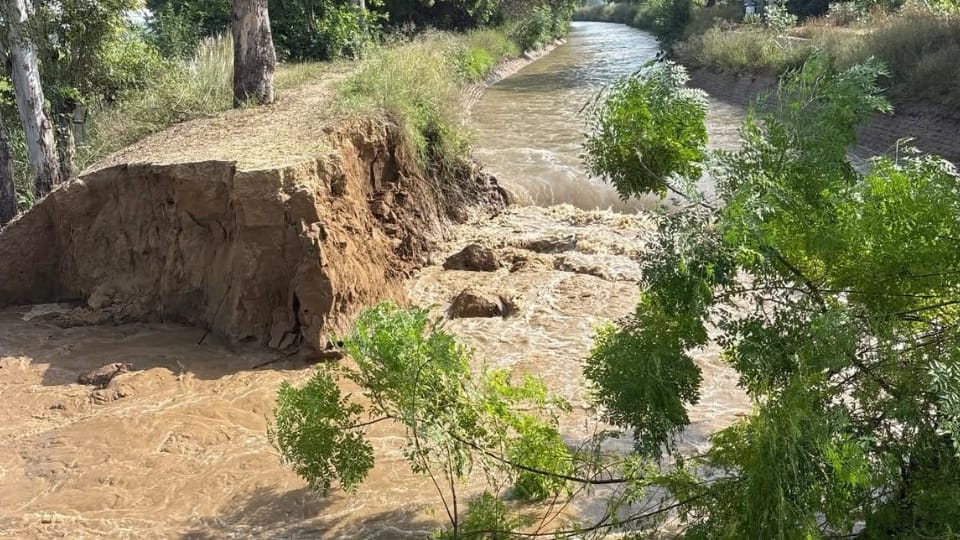 Canal breaches in Sunam; hundreds of acres of paddy crop submerged.