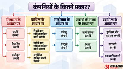 Explainer: What’s the Difference Between Tata’s Three Names? Types of Companies in India and How to Identify