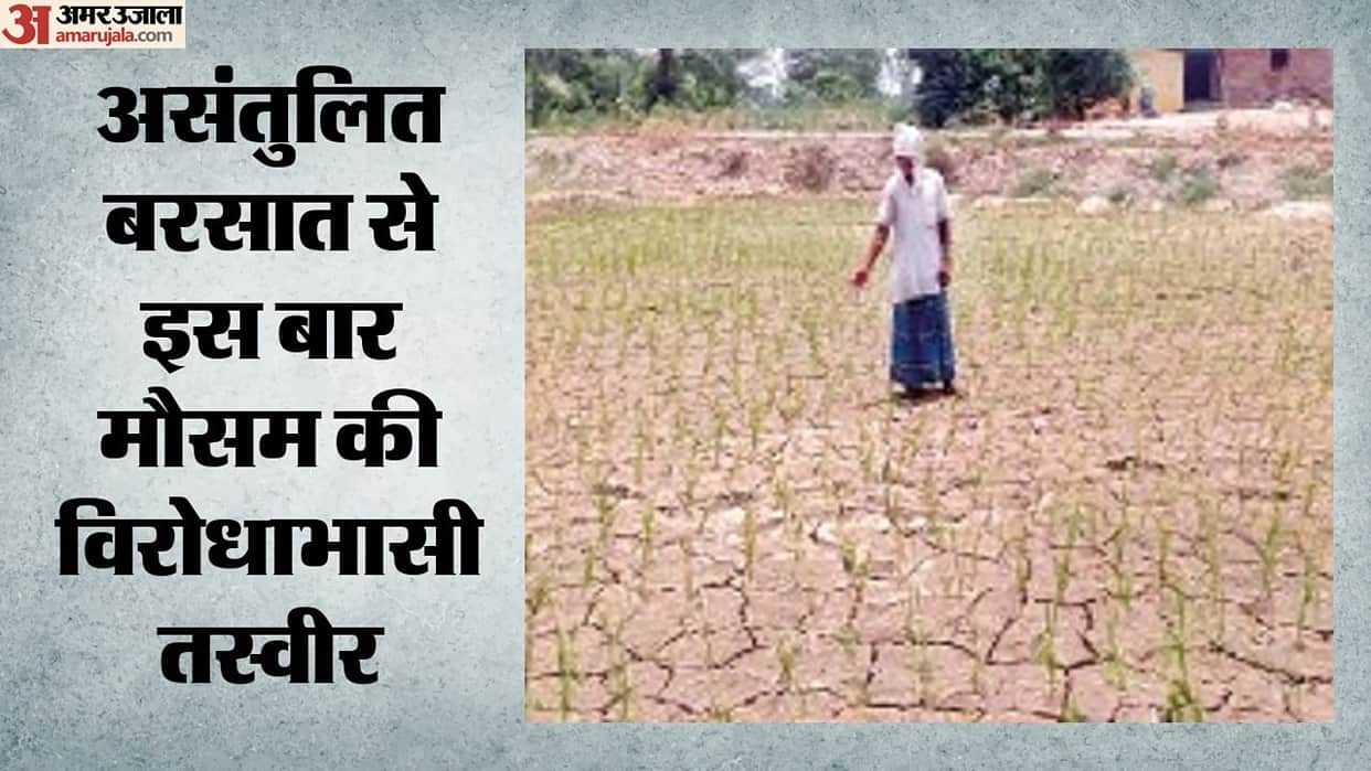 Rainfall deficit of 20–59% in 16 UP districts; Bhakra water level 35 feet below; concern in Punjab-Himachal.