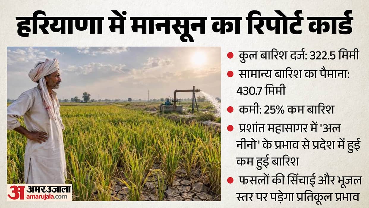 Monsoon sluggish in Haryana: Rainfall 25% below normal, drought-like conditions in Jind