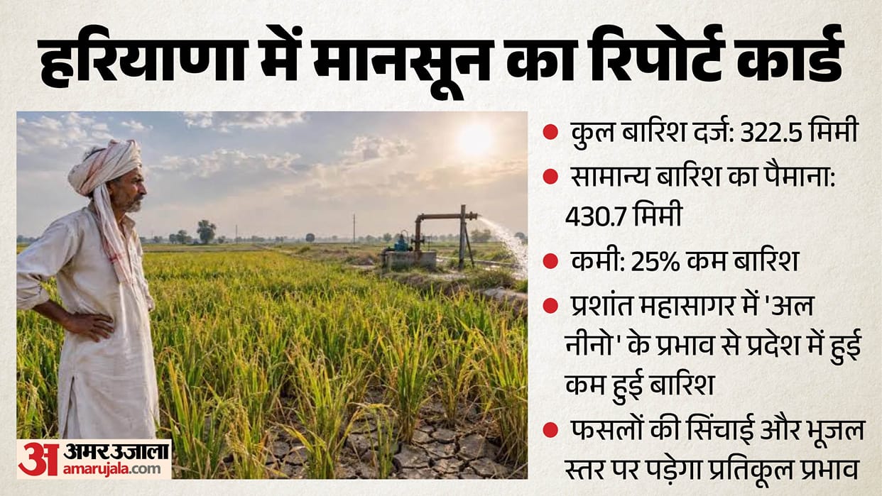 Monsoon sluggish in Haryana: Rainfall 25% below normal, drought-like conditions in Jind
