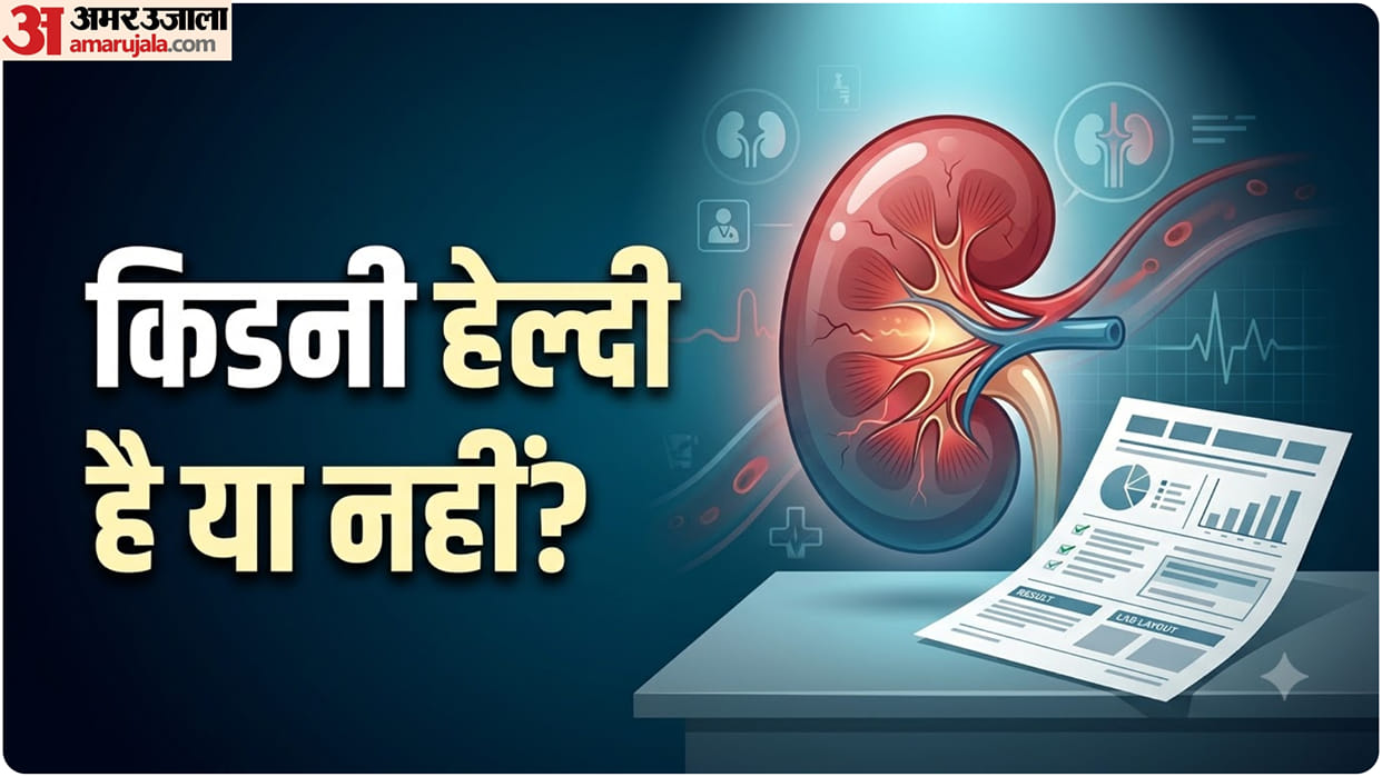 High Creatinine Causes and Kidney Risks Kidney Function test