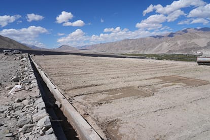 The barren land of Ladakh will be fragrant with the aroma of saffron.