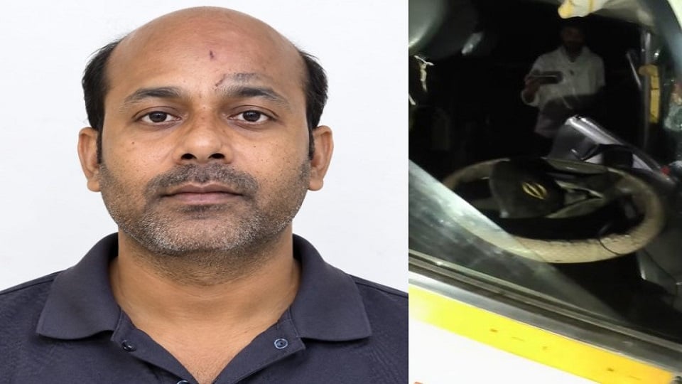 सिकंदराराऊ सड़क हादसा: खराब ट्रक से भिड़ी एंबुलेंस, चालक की मौत, परिचालक घायल