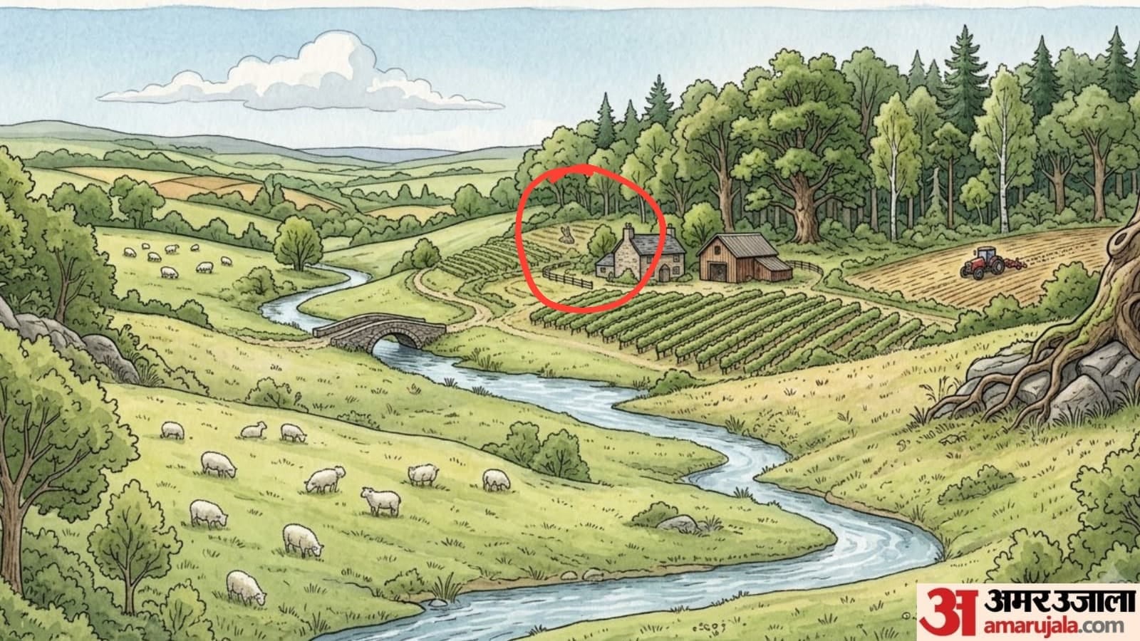 Optical illusion iq test rabbit hidden among the sheep can you find in 10 second