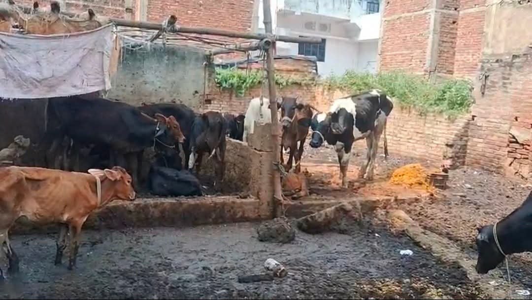 बिहार: बक्सर में अवैध बूचड़खानों पर प्रशासन का छापा, प्रतिबंधित मांस समेत कई सामान बरामद