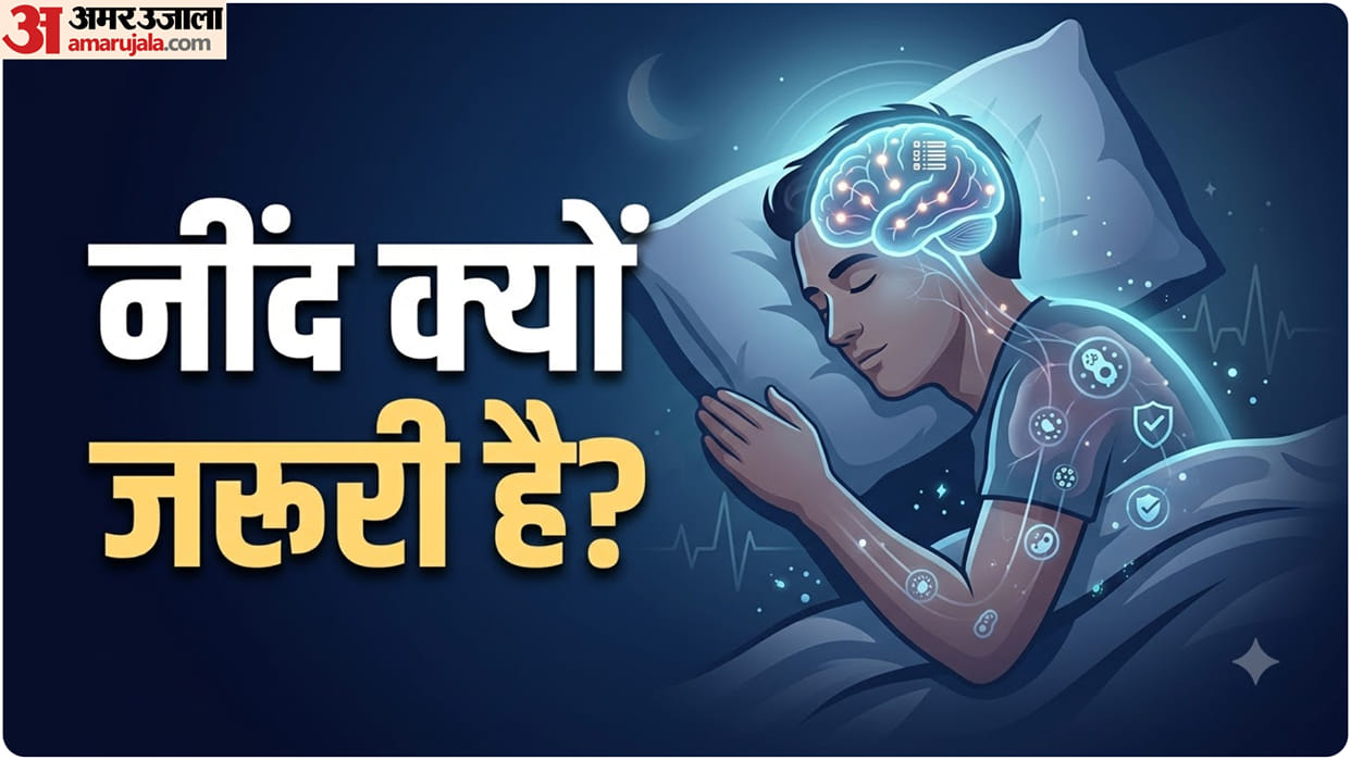 What Happens Inside Your Body During Sleep Why Sleep Is More Than Just Rest