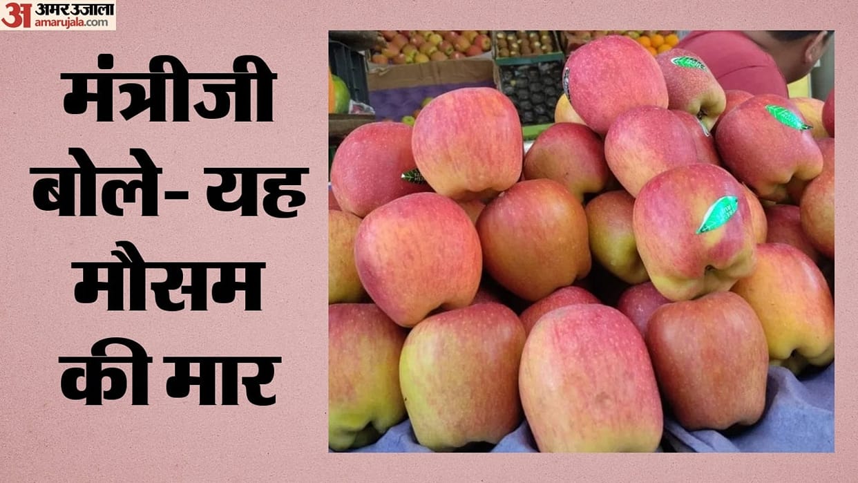 Apples to cost more; yield down by 40% this season.