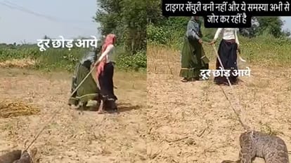 10 फीट लंबे अजगर को डोरी से बांधकर खींच ले गईं राजस्थानी महिलाएं