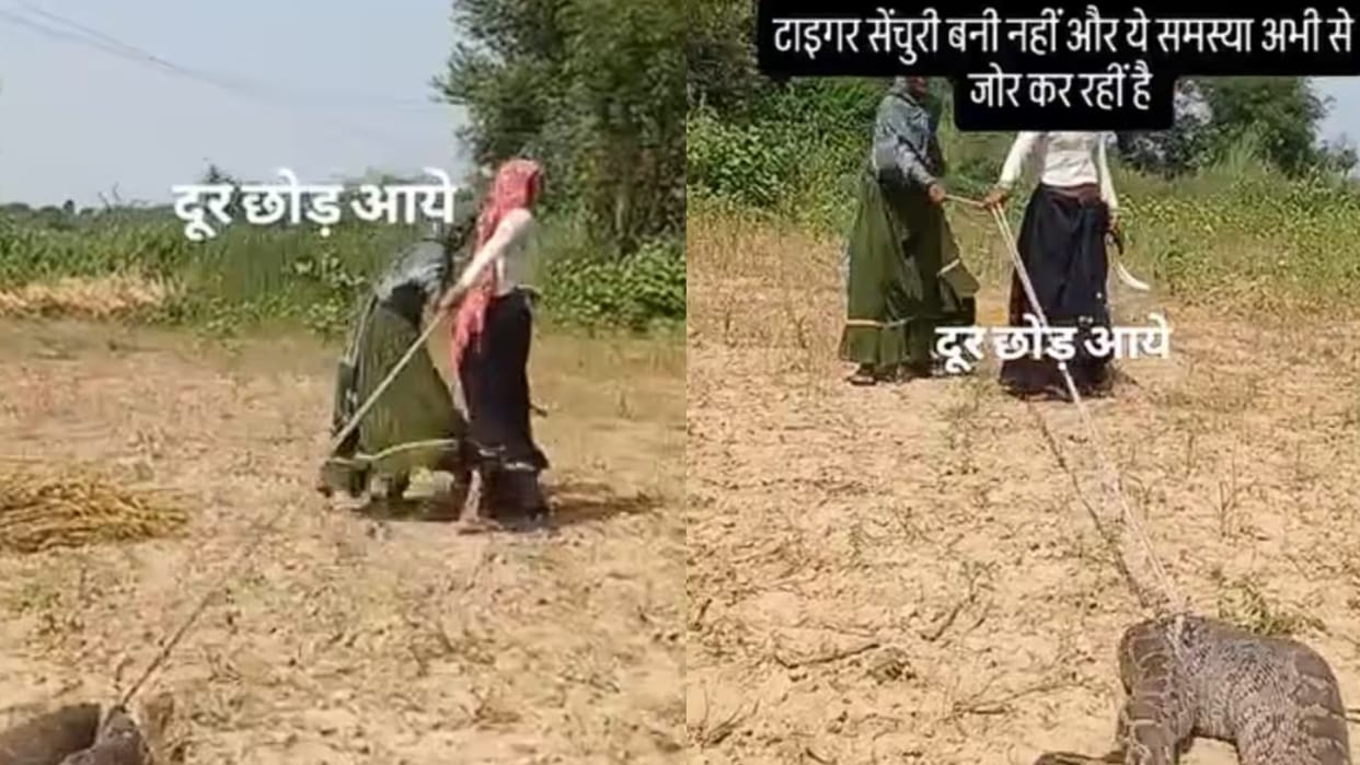 Dangerous Long Python Was Dragged Away With A Rope By Women In Rajasthan Field Find Out In Viral Video