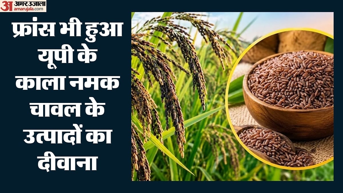 यूपी के काला नमक की दुनिया में धमक: कुकीज पर फिदा हुए फ्रांस के खरीदार, जानें अब तक कितने मिले ऑर्डर?