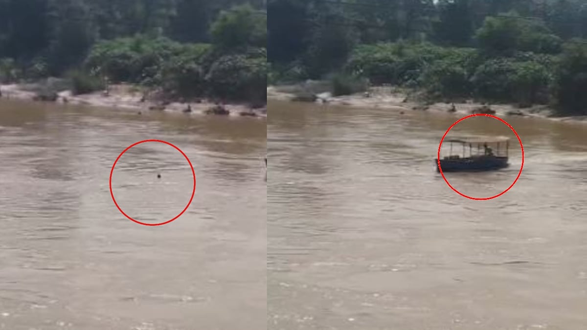 शाहजहांपुर: आधार कार्ड में नाम नहीं सुधरा तो गर्रा नदी में कूद गया युवक, नाविक ने बचाई जान; देखें वीडियो