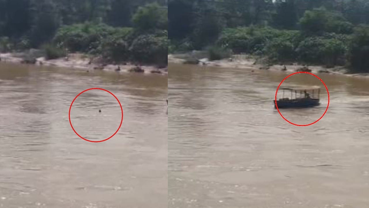 नाविक ने युवक को बचाया