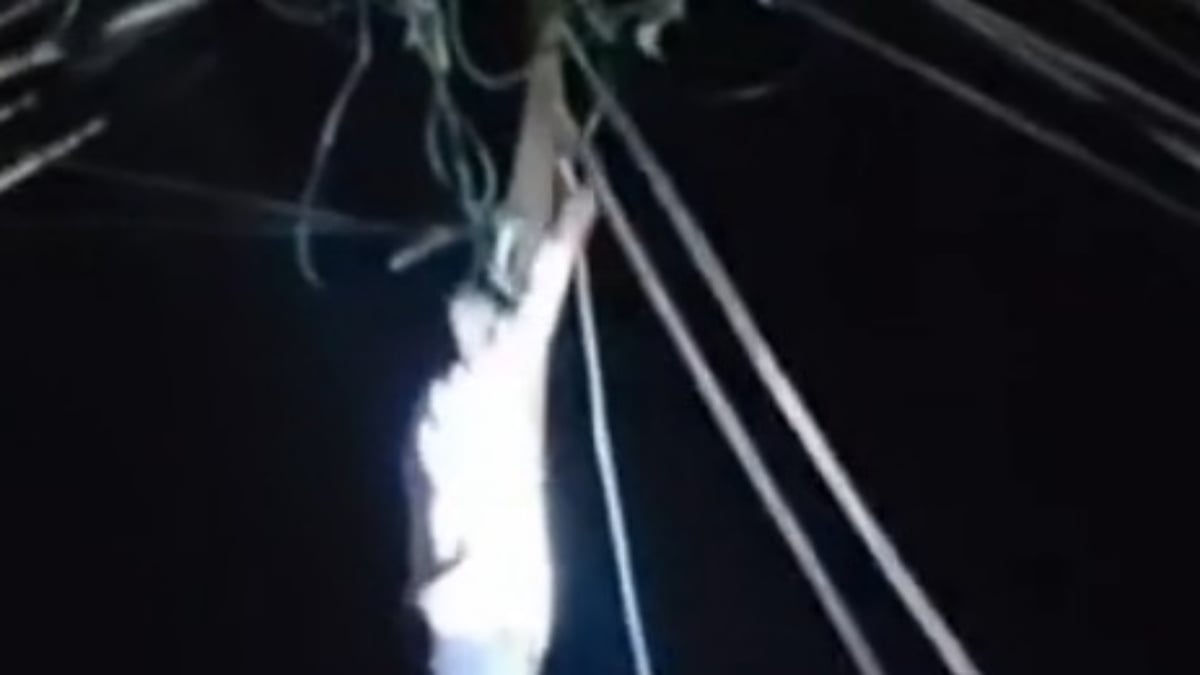 सिवनी: हाई वोल्टेज बिजली पोल पर चढ़ा युवक, सप्लाई बंद कर पुलिस ने बचाया, नशे में होने की आशंका