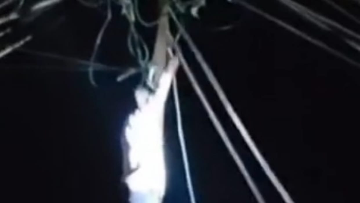 Seoni: Youth Climbs Power Pole, Gets Close to High-Voltage Wires; Police Saves Him by Cutting Supply