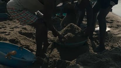 Reporting Live Trailer Out: Parineeti Chopra Deven Bhojani Netflix Investigative Thriller Movie