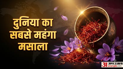 कौन सा है दुनिया का सबसे महंगा मसला?