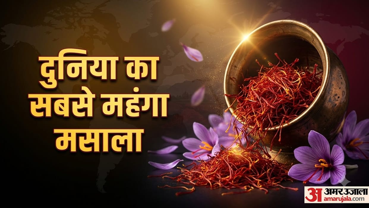 Worlds most expensive spice saffron Interesting facts in Hindi