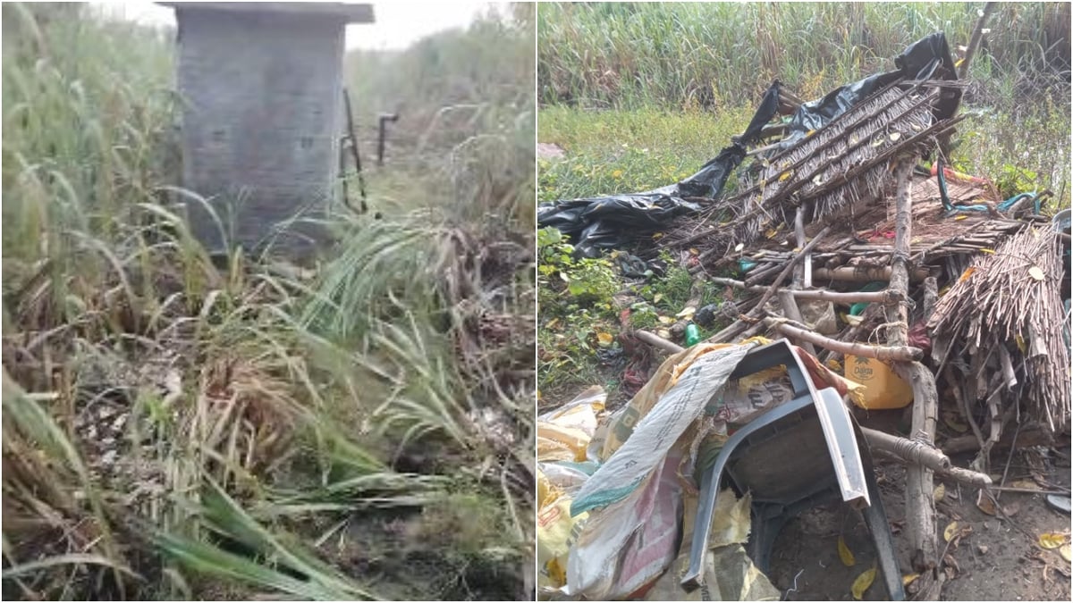 पीलीभीत: चंदिया हजारा में नेपाली हाथियों ने फैलाई दहशत, झोपड़ी तोड़ी, फसलें रौंदी
