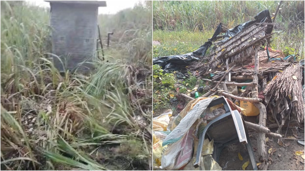 Nepali elephants spread terror in Pilibhit Chandiya Hazara