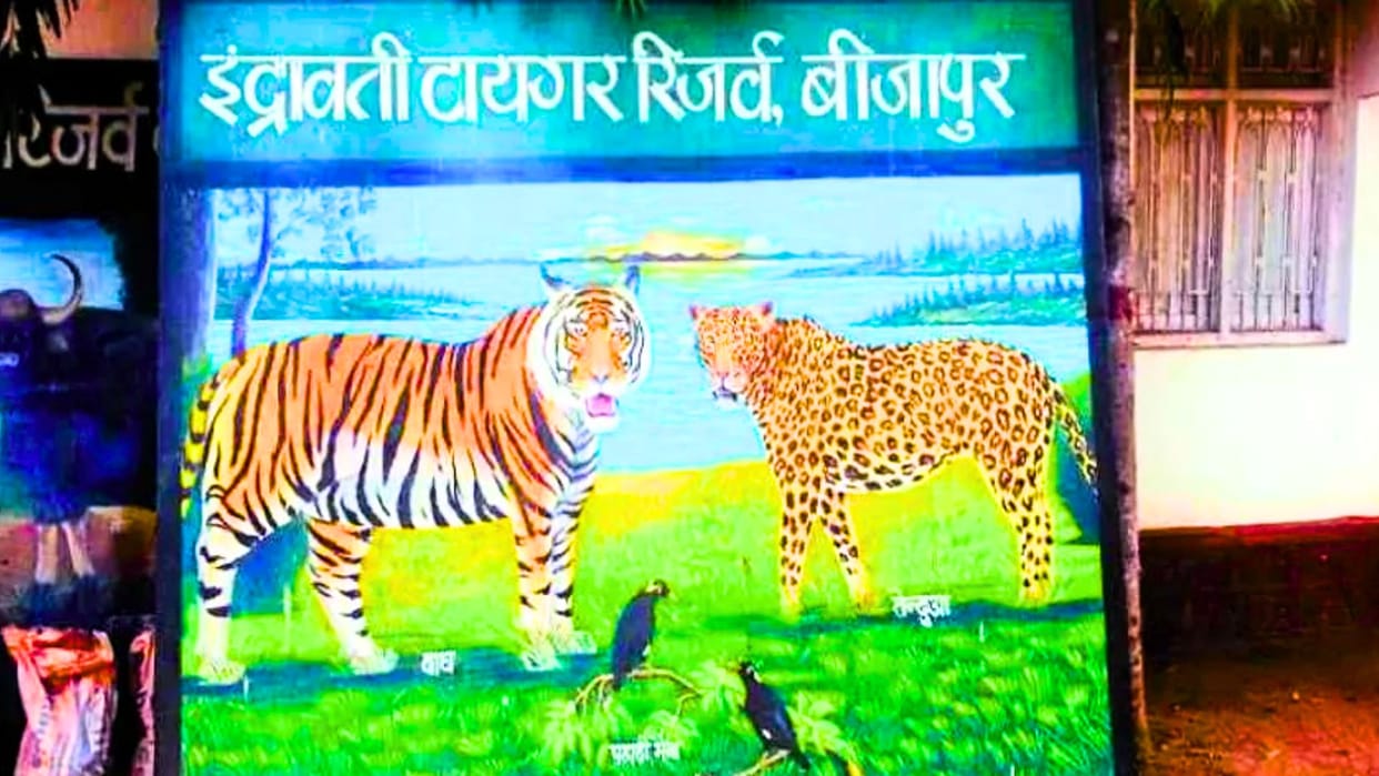 Indravati Tiger Reserve Introduces Sniffer Dog Canines to Track Poachers Traps in Forests, Mock Drills Begin