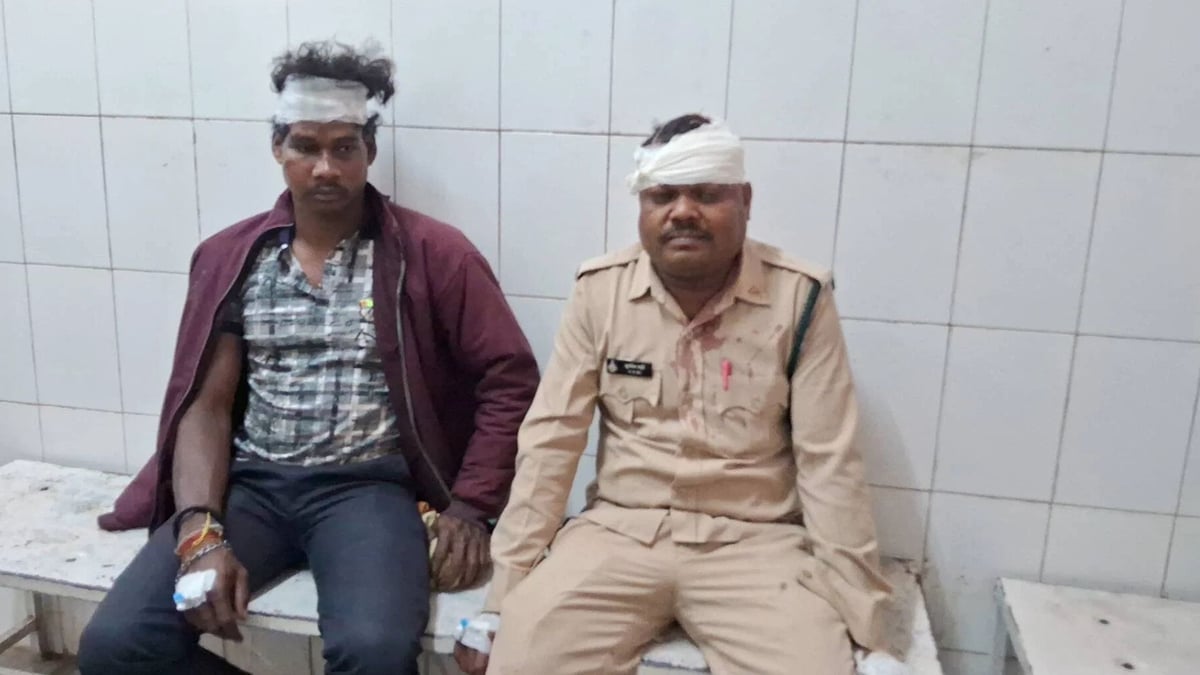 प्लांटेशन में मवेशी चराने से रोकना पड़ा भारी: बैतूल में वनकर्मियों पर कुल्हाड़ी-लाठियों से हमला, दो गंभीर