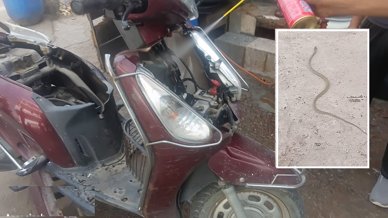 Kanpur deadly threat lay hidden inside scooter two foot long venomous snake was spotted just in time