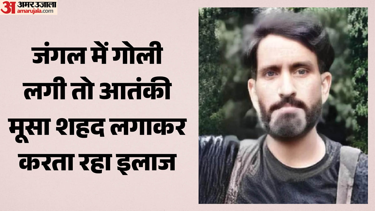 कश्मीर: जंगल में जख्मी पड़ा था लश्कर कमांडर, गोली के घाव पर मूसा लगाता था शहद, ऐसे खुला आतंकी के इलाज का राज